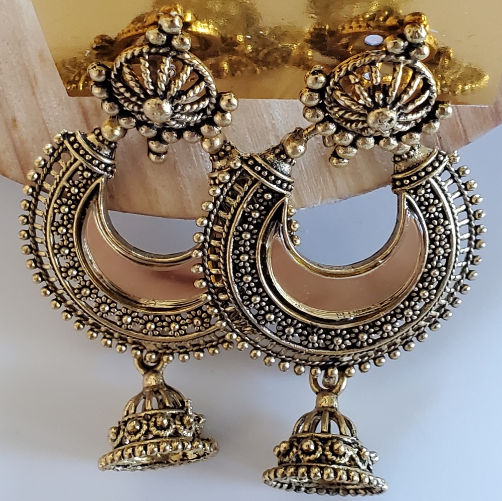 Earrings NWOT
